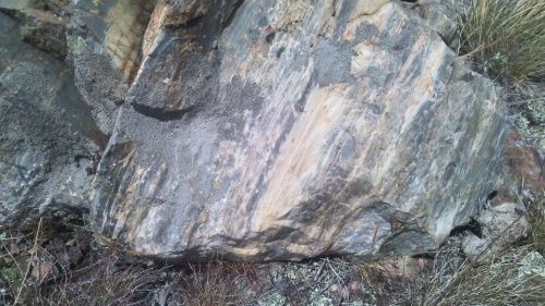 Гигантские зелёные валуны для ландшафтного дизайна весом более 5 тонн купить в Екатеринбурге